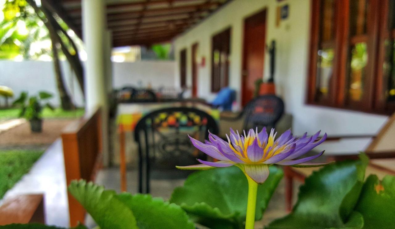 Luvi Lucas River Side Weligama Exteriér fotografie